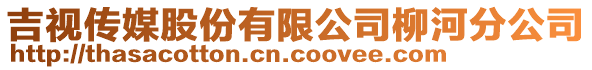 吉視傳媒股份有限公司柳河分公司