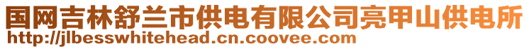 國網吉林舒蘭市供電有限公司亮甲山供電所