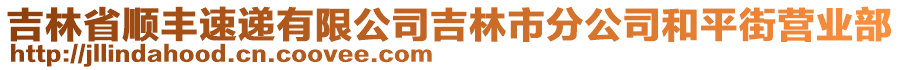 吉林省順豐速遞有限公司吉林市分公司和平街營業(yè)部