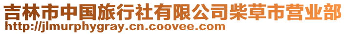 吉林市中國旅行社有限公司柴草市營業部