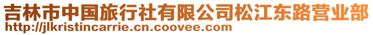 吉林市中國旅行社有限公司松江東路營業部