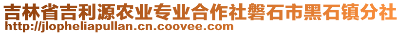 吉林省吉利源農(nóng)業(yè)專業(yè)合作社磐石市黑石鎮(zhèn)分社