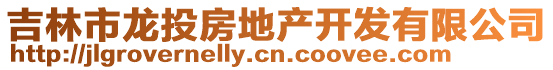 吉林市龍投房地產(chǎn)開(kāi)發(fā)有限公司