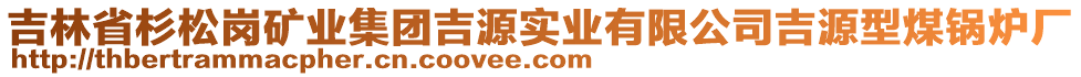 吉林省杉松崗礦業(yè)集團吉源實業(yè)有限公司吉源型煤鍋爐廠