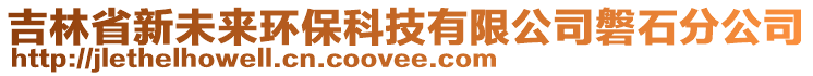 吉林省新未來環保科技有限公司磐石分公司