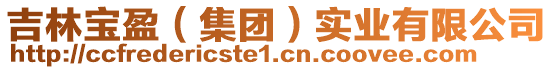 吉林寶盈（集團(tuán)）實(shí)業(yè)有限公司