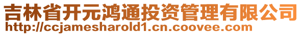 吉林省開元鴻通投資管理有限公司