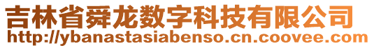 吉林省舜龍數字科技有限公司