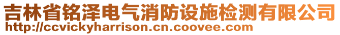 吉林省銘澤電氣消防設(shè)施檢測有限公司