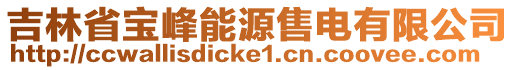 吉林省寶峰能源售電有限公司