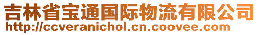 吉林省寶通國際物流有限公司