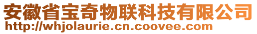 安徽省寶奇物聯(lián)科技有限公司