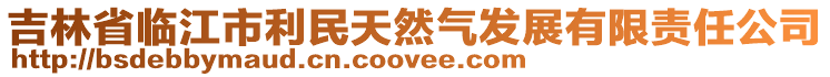 吉林省临江市利民天然气发展有限责任公司