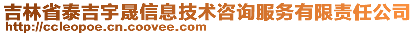 吉林省泰吉宇晟信息技術(shù)咨詢服務(wù)有限責(zé)任公司