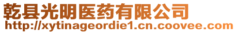 乾縣光明醫(yī)藥有限公司