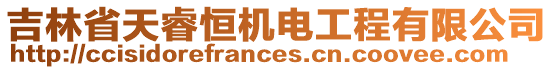 吉林省天睿恒機(jī)電工程有限公司