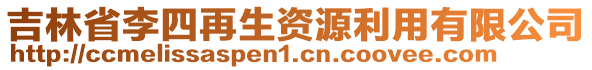 吉林省李四再生資源利用有限公司