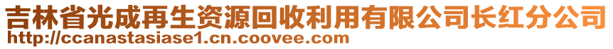 吉林省光成再生資源回收利用有限公司長紅分公司