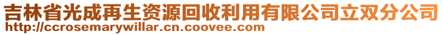 吉林省光成再生資源回收利用有限公司立雙分公司