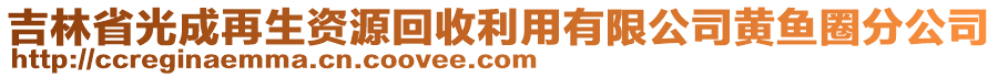 吉林省光成再生資源回收利用有限公司黃魚圈分公司