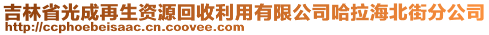 吉林省光成再生資源回收利用有限公司哈拉海北街分公司