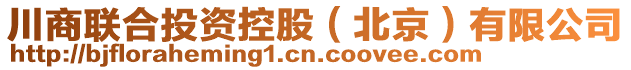 川商聯(lián)合投資控股（北京）有限公司