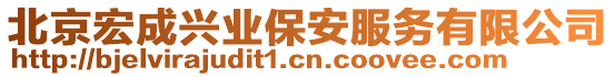 北京宏成興業保安服務有限公司