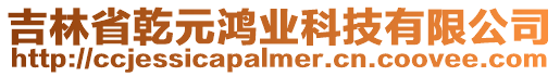 吉林省乾元鴻業(yè)科技有限公司