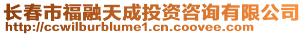 長春市福融天成投資咨詢有限公司