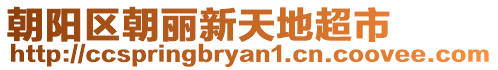 朝陽區(qū)朝麗新天地超市