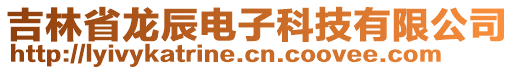 吉林省龍辰電子科技有限公司