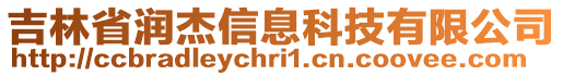 吉林省潤杰信息科技有限公司