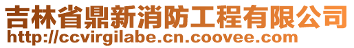 吉林省鼎新消防工程有限公司