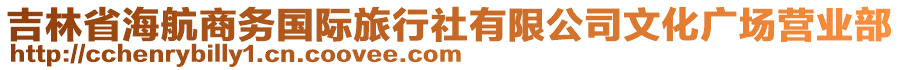 吉林省海航商務(wù)國際旅行社有限公司文化廣場營業(yè)部