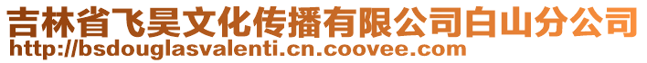 吉林省飛昊文化傳播有限公司白山分公司