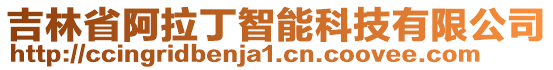 吉林省阿拉丁智能科技有限公司