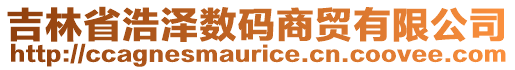 吉林省浩澤數碼商貿有限公司