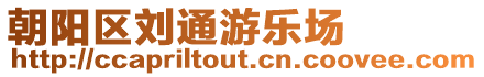 朝陽區(qū)劉通游樂場