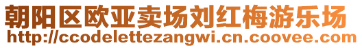 朝陽區(qū)歐亞賣場劉紅梅游樂場