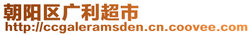 朝陽區(qū)廣利超市