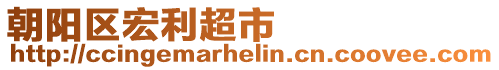 朝陽(yáng)區(qū)宏利超市