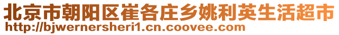 北京市朝陽區(qū)崔各莊鄉(xiāng)姚利英生活超市