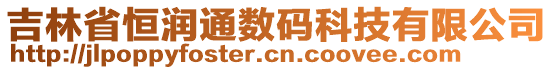 吉林省恒潤(rùn)通數(shù)碼科技有限公司