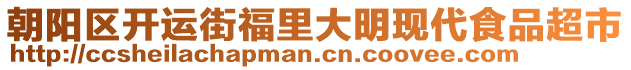 朝陽區開運街福里大明現代食品超市