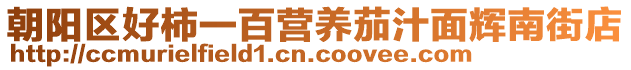 朝陽(yáng)區(qū)好柿一百營(yíng)養(yǎng)茄汁面輝南街店