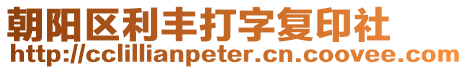 朝陽區(qū)利豐打字復(fù)印社