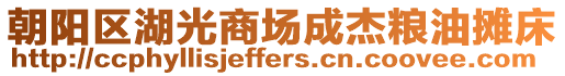 朝陽區(qū)湖光商場成杰糧油攤床