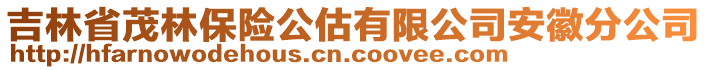 吉林省茂林保險(xiǎn)公估有限公司安徽分公司