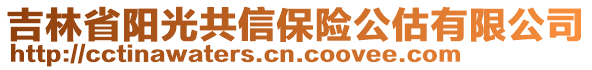 吉林省陽(yáng)光共信保險(xiǎn)公估有限公司