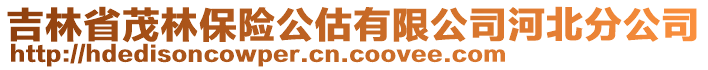 吉林省茂林保險公估有限公司河北分公司